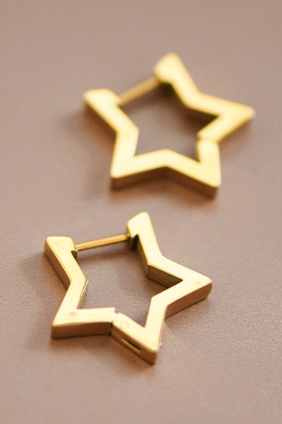 18k Gold Waterproof Stainless Steel Earrings