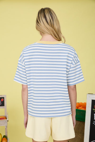 Stripe Colorblock Detail Short Sleeve Knit T-shirt