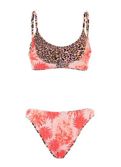 Coral Panther Splendour