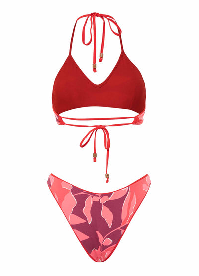 Scarlet Red Splendour