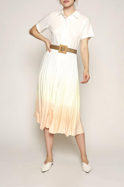 Ilona Ombre Dress