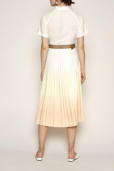 Ilona Ombre Dress