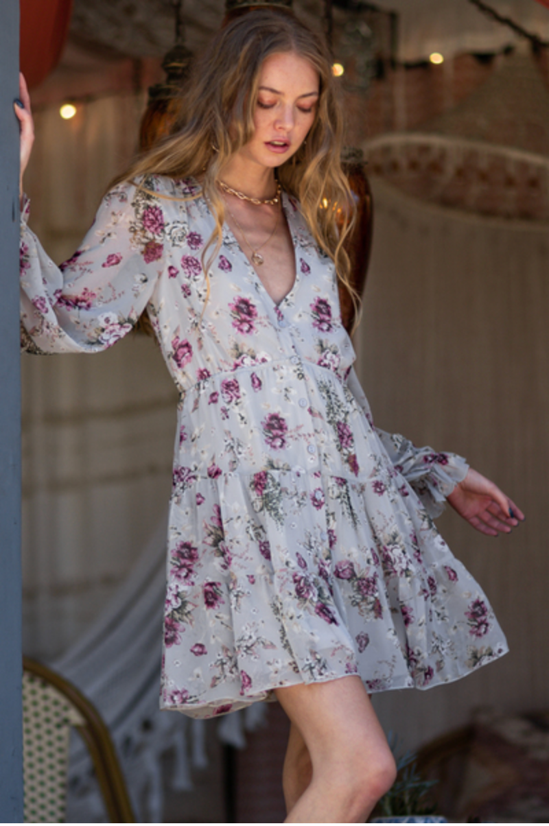 Long Sleeve A-line Mini Dress