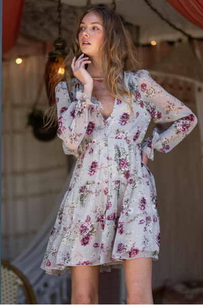 Long Sleeve A-line Mini Dress