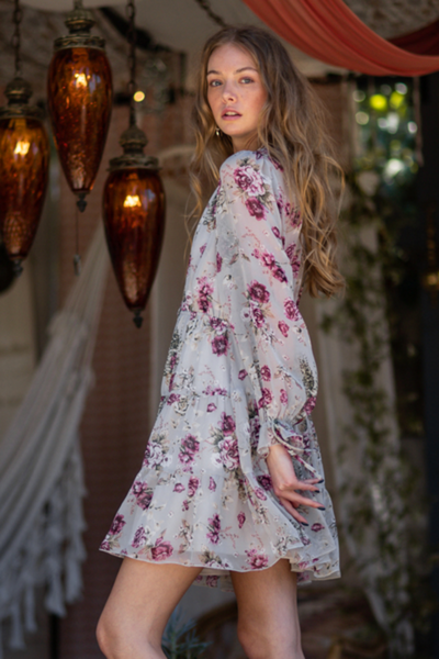 Long Sleeve A-line Mini Dress