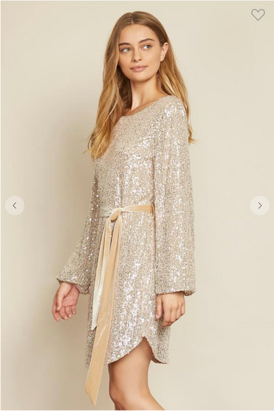 Cinch Me Pretty Sequin Mini Dress
