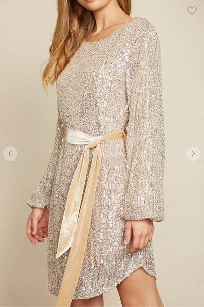 Cinch Me Pretty Sequin Mini Dress