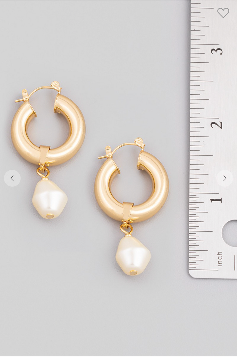Crystal Drop Hoop Earrings
