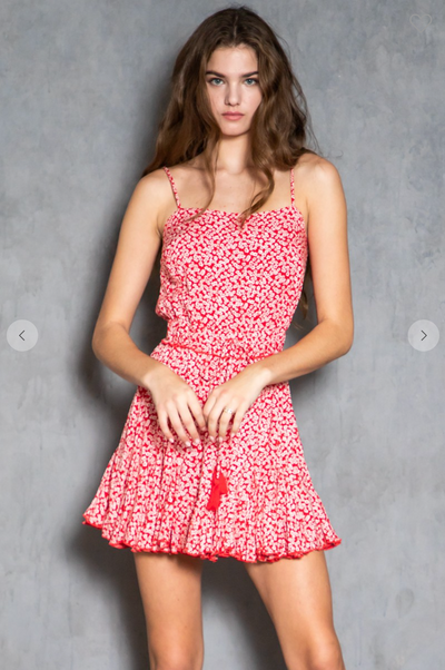 Strawberry Fields Flirty Dress