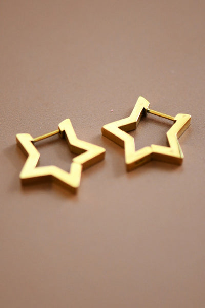 18k Gold Waterproof Stainless Steel Earrings
