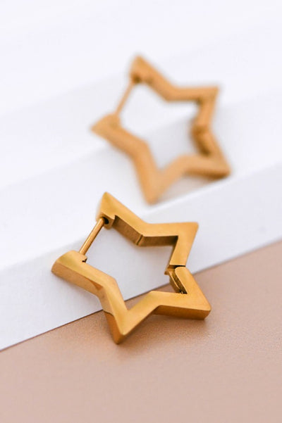 18k Gold Waterproof Stainless Steel Earrings