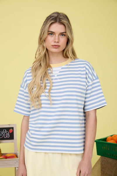 Stripe Colorblock Detail Short Sleeve Knit T-shirt