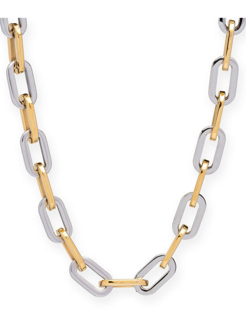 Elle Gage Two Tone Necklace